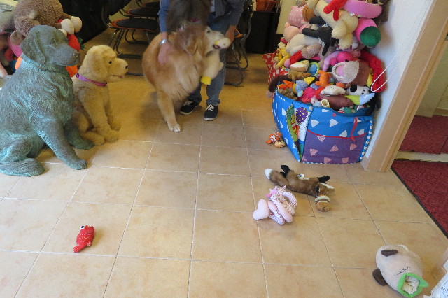 ファイル 6294-3.jpg