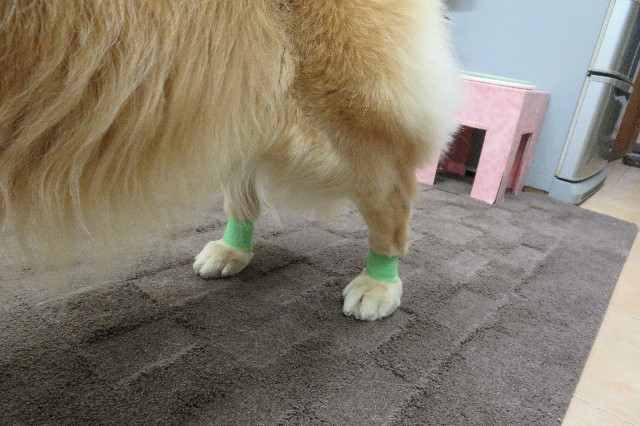 ファイル 6296-4.jpg