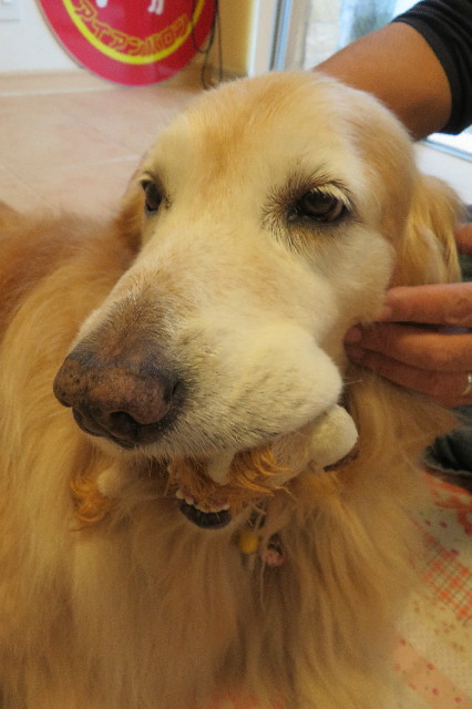 ファイル 6296-5.jpg