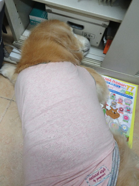 ファイル 6298-1.jpg