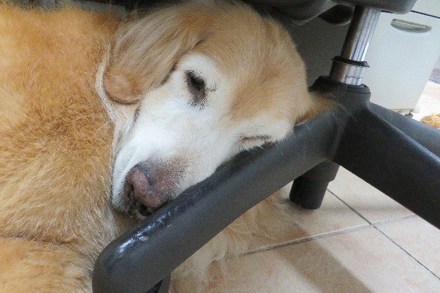 ファイル 6298-2.jpg