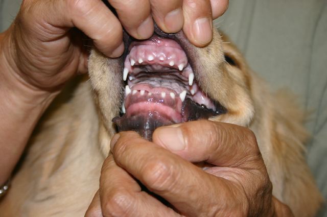 ファイル 63-1.jpg