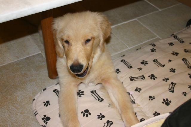 ファイル 63-4.jpg