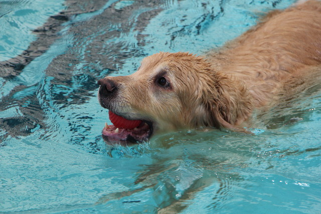 ファイル 6300-5.jpg