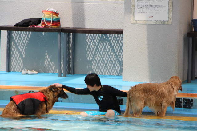 ファイル 6301-4.jpg