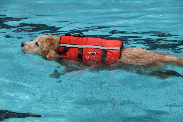 ファイル 6301-5.jpg