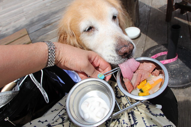 ファイル 6302-3.jpg