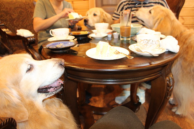 ファイル 6303-2.jpg