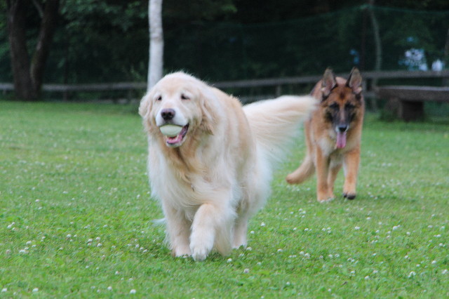 ファイル 6303-4.jpg