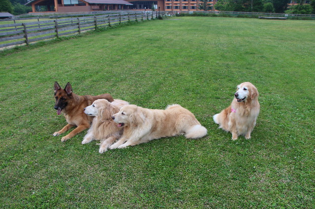 ファイル 6303-5.jpg