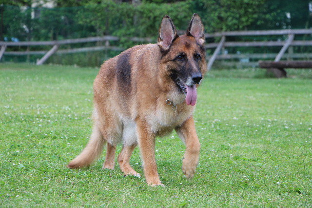 ファイル 6304-1.jpg