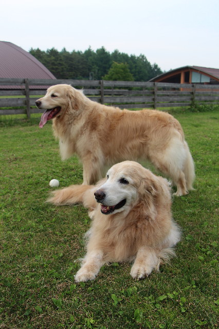 ファイル 6304-3.jpg