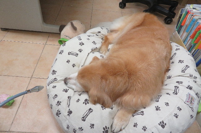 ファイル 6306-5.jpg