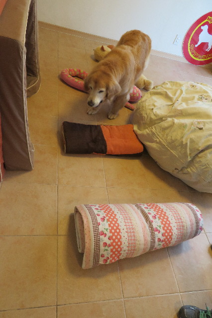 ファイル 6307-4.jpg