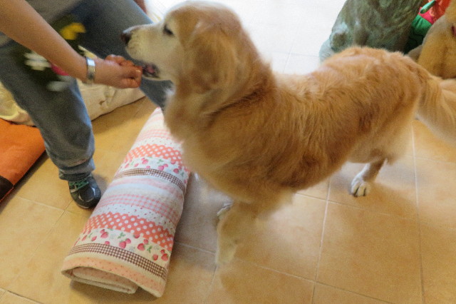 ファイル 6307-5.jpg