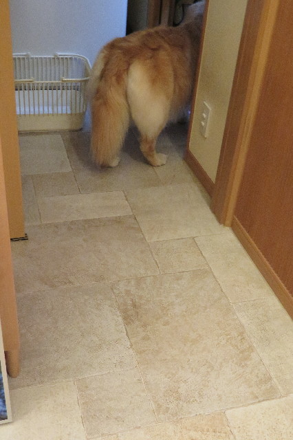 ファイル 6310-5.jpg