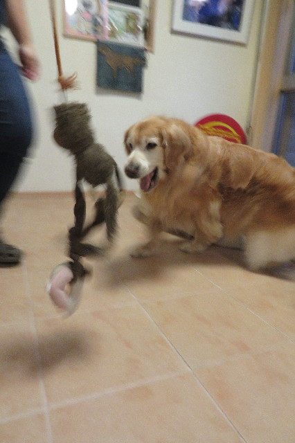 ファイル 6311-1.jpg