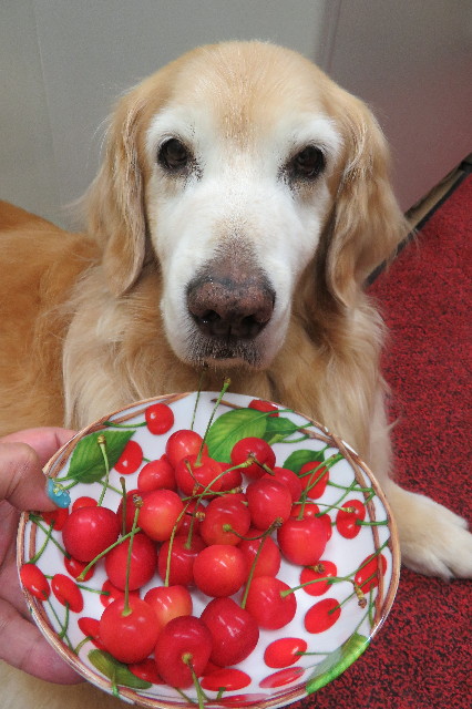 ファイル 6311-5.jpg