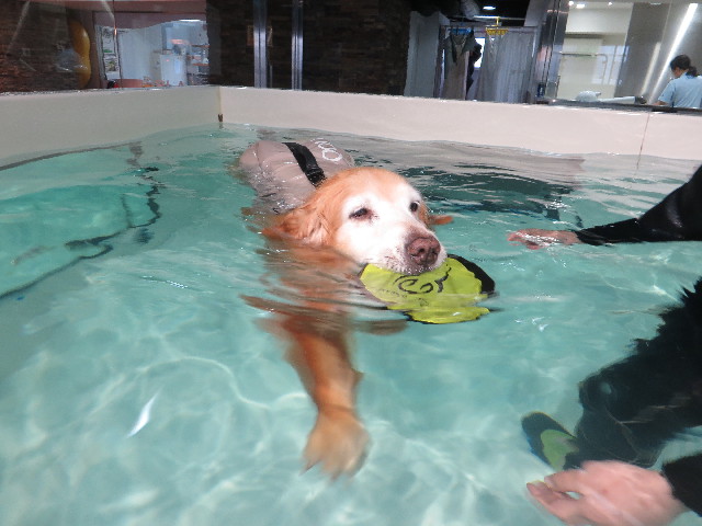 ファイル 6312-2.jpg