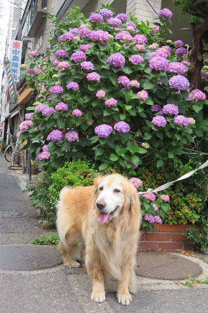 ファイル 6314-1.jpg