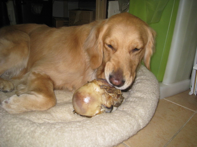 ファイル 632-2.jpg