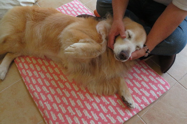 ファイル 6323-5.jpg