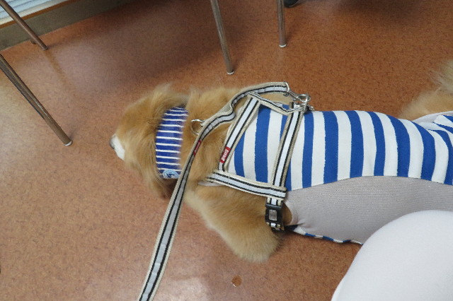 ファイル 6324-1.jpg