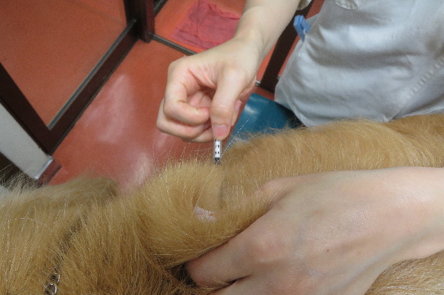 ファイル 6324-2.jpg