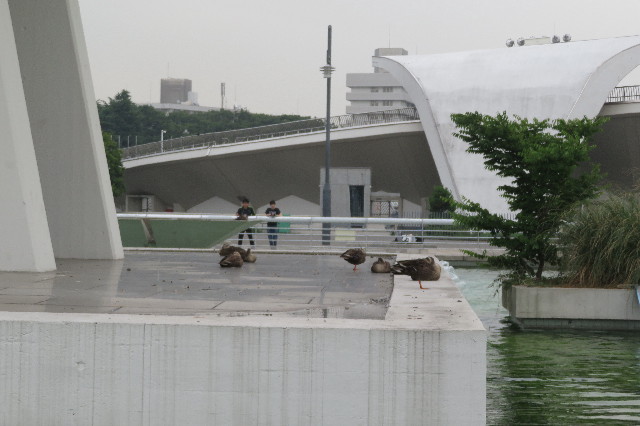 ファイル 6324-4.jpg