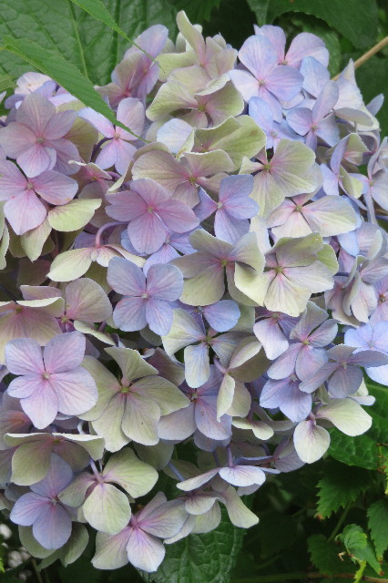 ファイル 6324-5.jpg