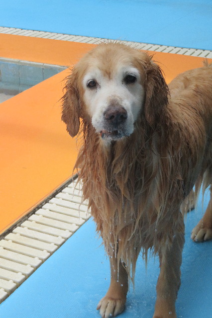 ファイル 6325-4.jpg