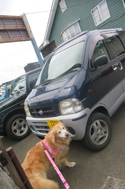 ファイル 6326-1.jpg