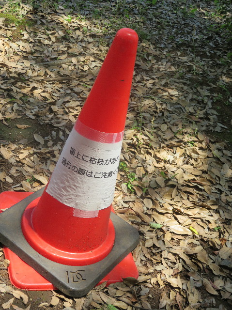 ファイル 6327-2.jpg