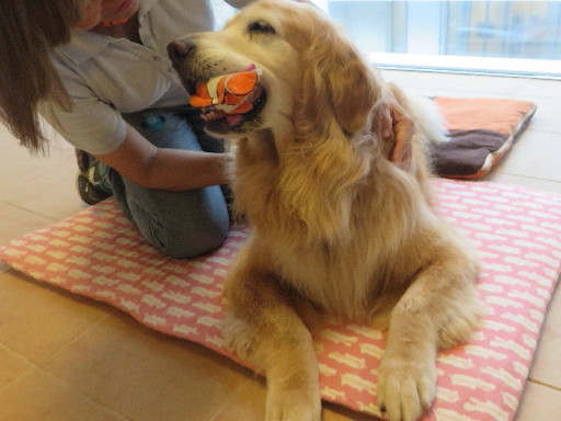 ファイル 6328-5.jpg