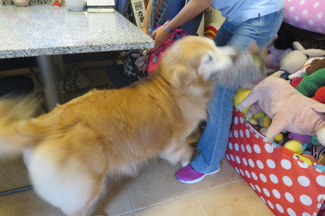 ファイル 6329-5.jpg