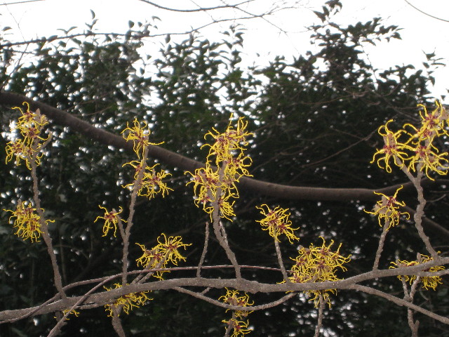 ファイル 633-1.jpg