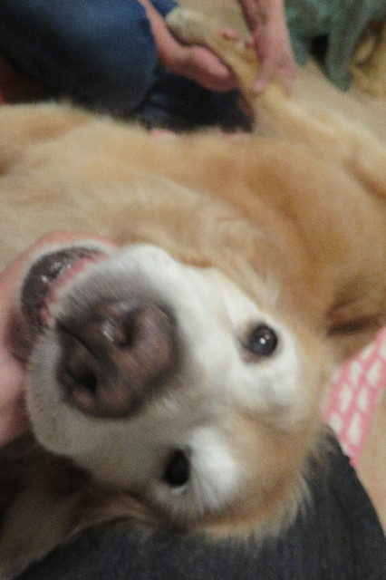 ファイル 6330-4.jpg