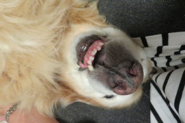 ファイル 6330-5.jpg