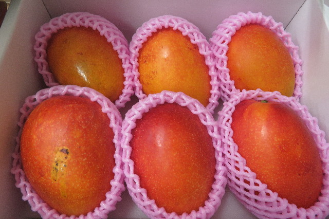 ファイル 6334-4.jpg