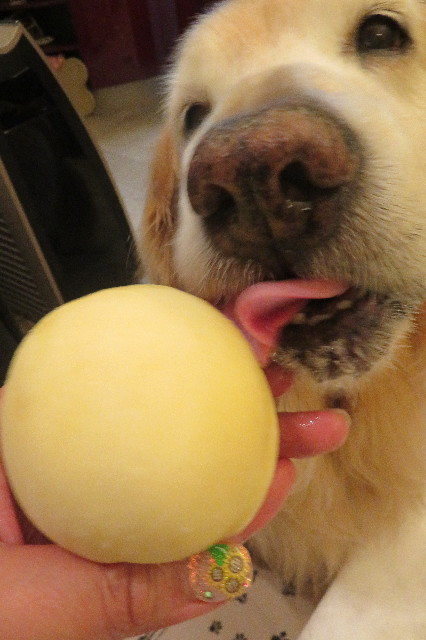 ファイル 6336-1.jpg