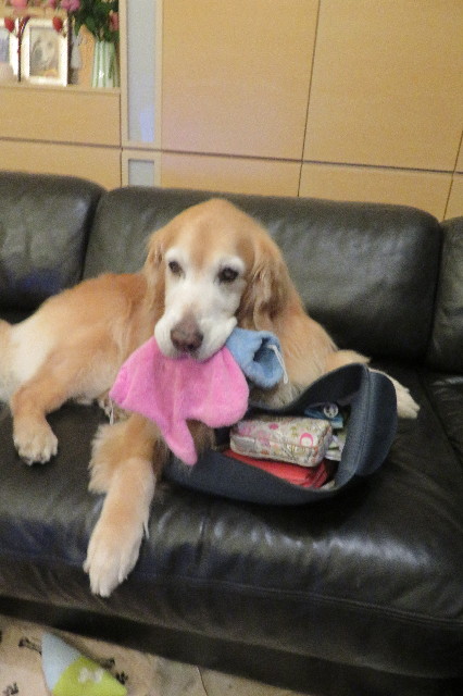 ファイル 6336-5.jpg