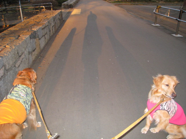 ファイル 634-1.jpg