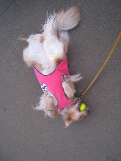 ファイル 634-2.jpg