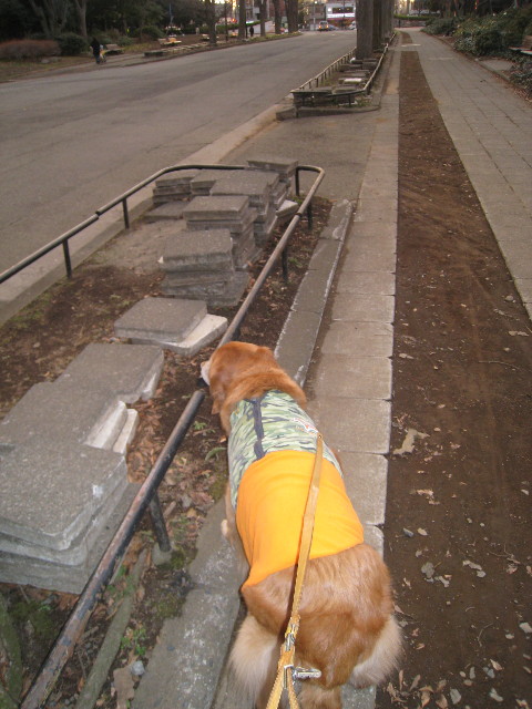 ファイル 634-3.jpg