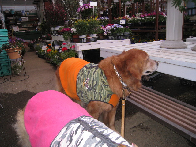 ファイル 634-5.jpg