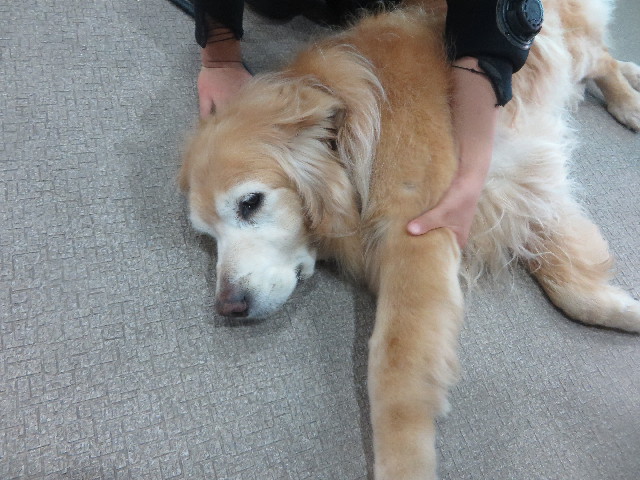 ファイル 6340-2.jpg