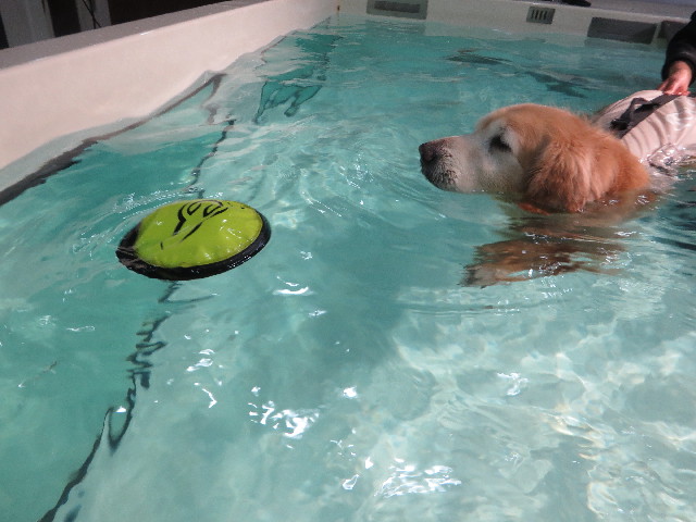 ファイル 6340-3.jpg