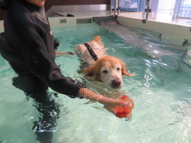 ファイル 6340-4.jpg