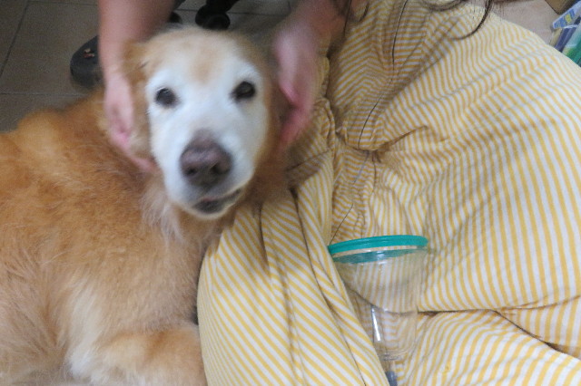 ファイル 6341-3.jpg