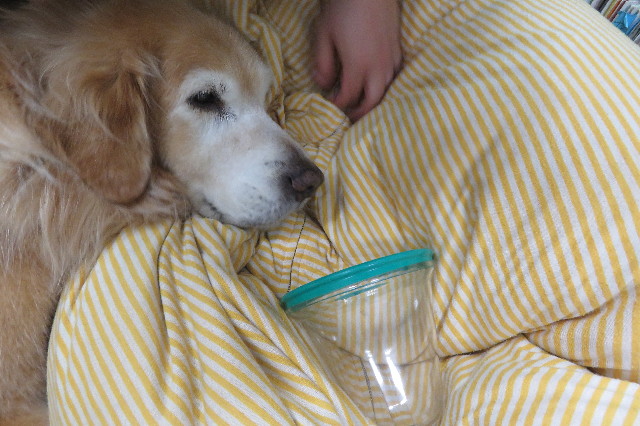 ファイル 6341-5.jpg